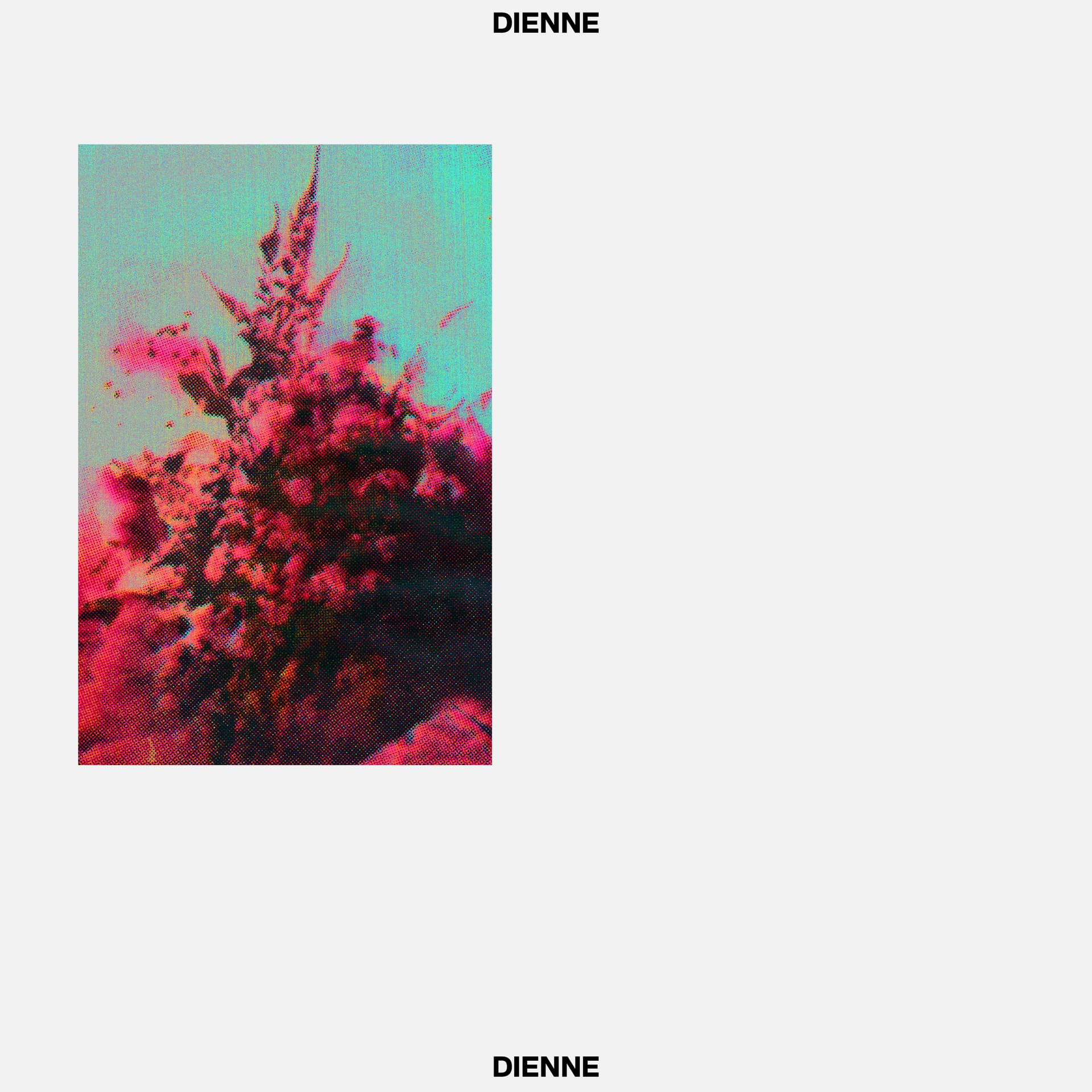 Addio cover
