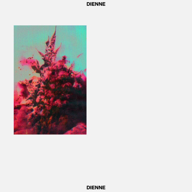 Addio cover image