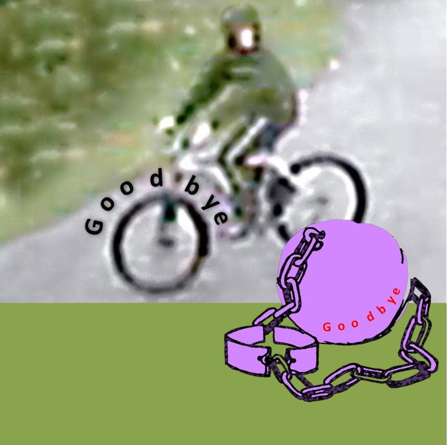 Goodbye cover