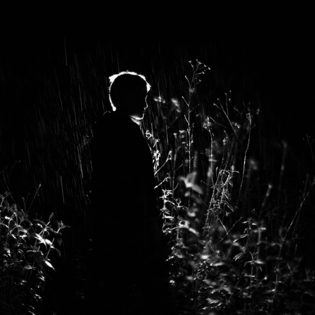 A Body Like a Home cover image